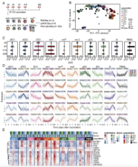 winheim et al 2025