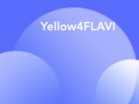 yellow4flavi